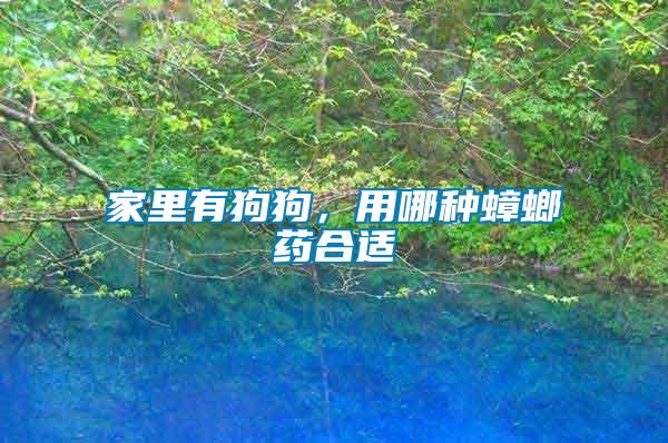 家里有狗狗，用哪種蟑螂藥合適