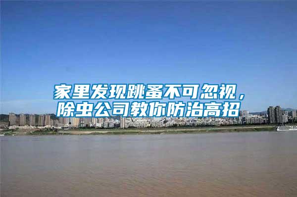 家里發(fā)現(xiàn)跳蚤不可忽視，除蟲公司教你防治高招