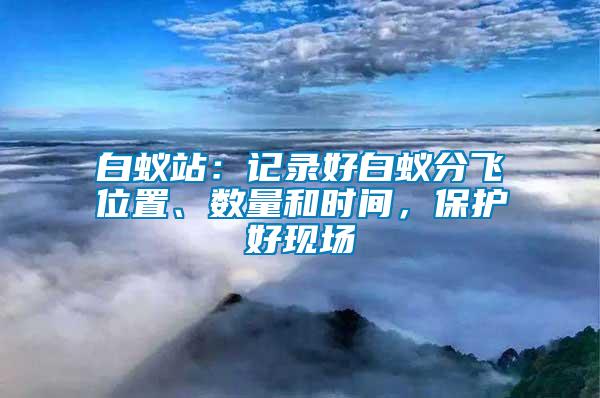 白蟻站：記錄好白蟻分飛位置、數(shù)量和時(shí)間，保護(hù)好現(xiàn)場(chǎng)
