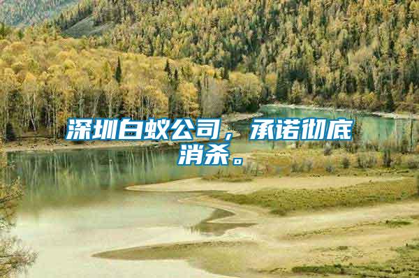 深圳白蟻公司，承諾徹底消殺。