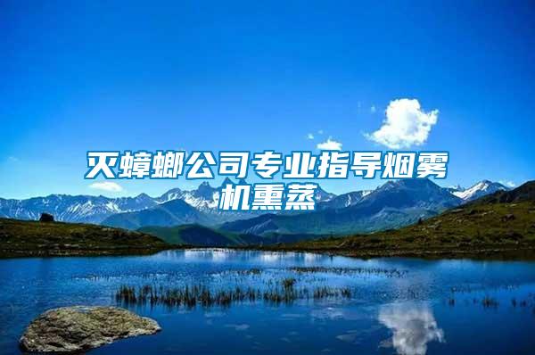 滅蟑螂公司專(zhuān)業(yè)指導(dǎo)煙霧機(jī)熏蒸