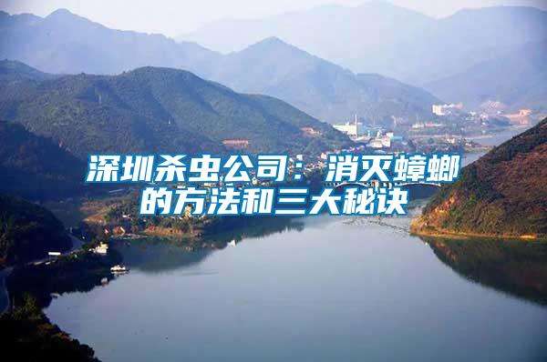深圳殺蟲公司：消滅蟑螂的方法和三大秘訣