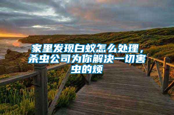 家里發(fā)現(xiàn)白蟻怎么處理，殺蟲(chóng)公司為你解決一切害蟲(chóng)的煩