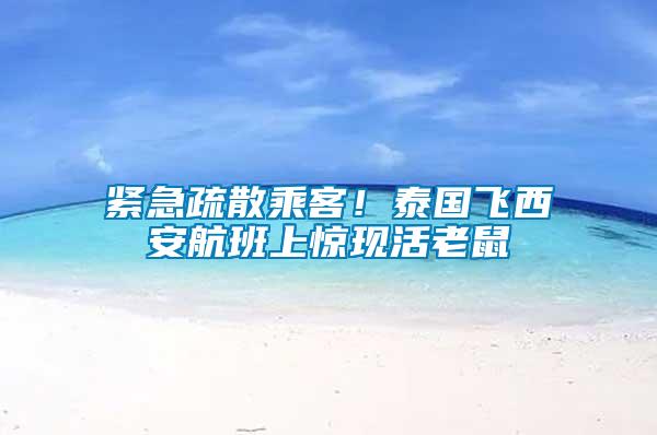 緊急疏散乘客！泰國(guó)飛西安航班上驚現(xiàn)活老鼠