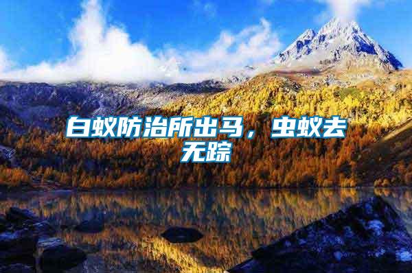 白蟻防治所出馬，蟲(chóng)蟻去無(wú)蹤