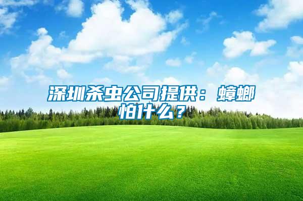 深圳殺蟲(chóng)公司提供：蟑螂怕什么？