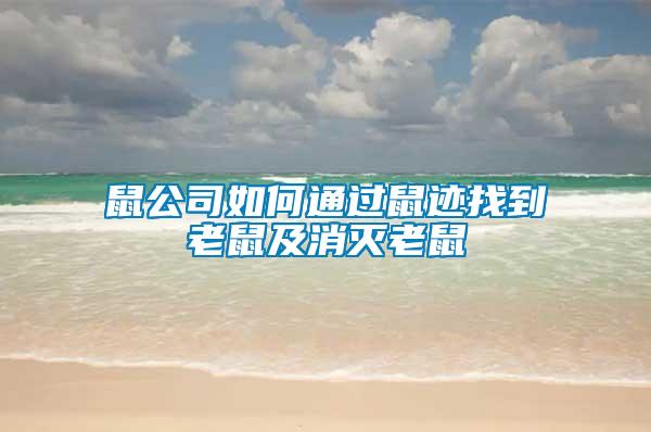 鼠公司如何通過鼠跡找到老鼠及消滅老鼠