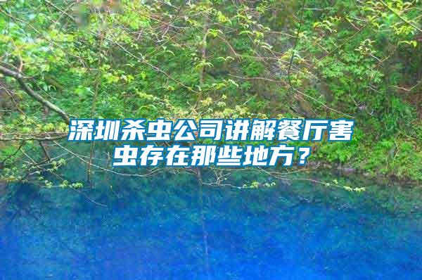 深圳殺蟲公司講解餐廳害蟲存在那些地方？