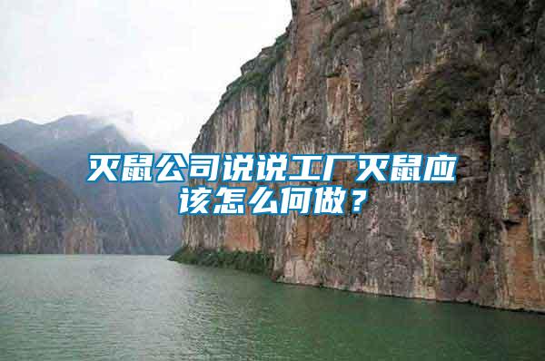 滅鼠公司說說工廠滅鼠應(yīng)該怎么何做？