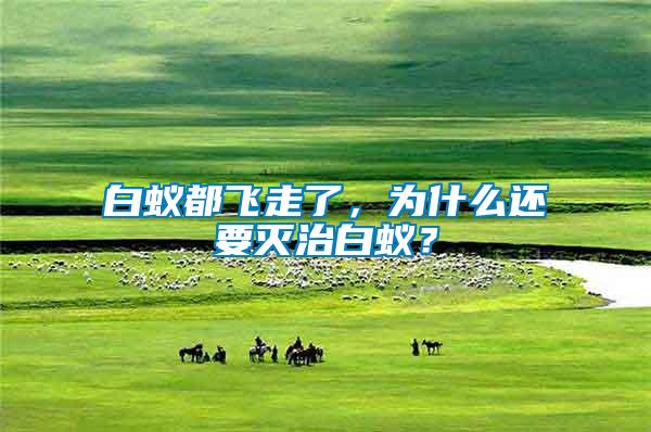 白蟻都飛走了，為什么還要滅治白蟻？