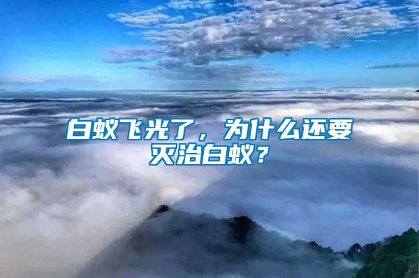 白蟻飛光了，為什么還要滅治白蟻？