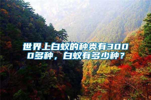 世界上白蟻的種類有3000多種，白蟻有多少種？
