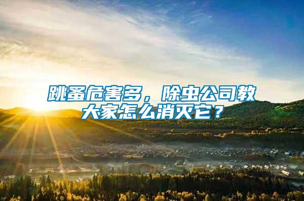 跳蚤危害多，除蟲公司教大家怎么消滅它？