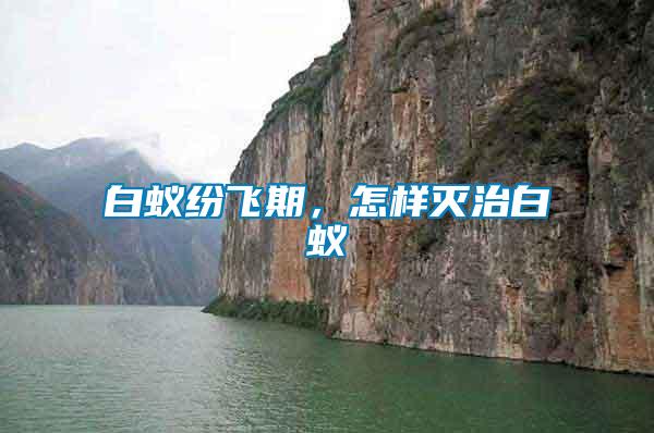 白蟻紛飛期，怎樣滅治白蟻