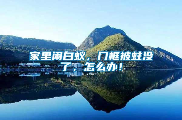 家里鬧白蟻，門框被蛀沒了，怎么辦！