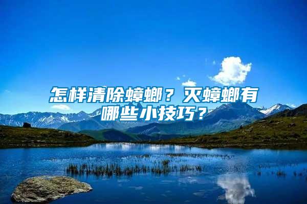 怎樣清除蟑螂？滅蟑螂有哪些小技巧？