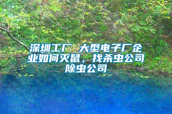 深圳工廠 大型電子廠企業(yè)如何滅鼠，找殺蟲公司除蟲公司