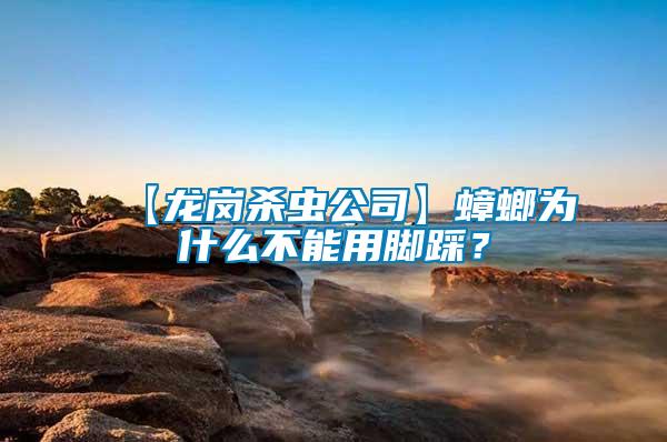 【龍崗殺蟲(chóng)公司】蟑螂為什么不能用腳踩？