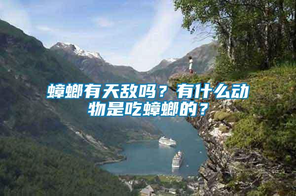 蟑螂有天敵嗎？有什么動(dòng)物是吃蟑螂的？