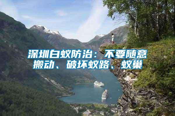 深圳白蟻防治：不要隨意搬動、破壞蟻路、蟻巢