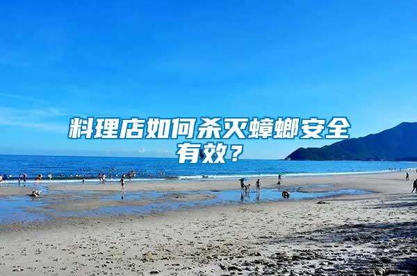 料理店如何殺滅蟑螂安全有效？