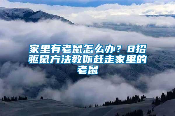 家里有老鼠怎么辦？8招驅(qū)鼠方法教你趕走家里的老鼠