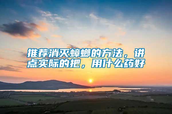 推薦消滅蟑螂的方法，講點實際的把，用什么藥好