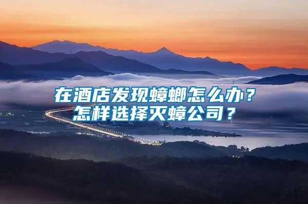 在酒店發(fā)現(xiàn)蟑螂怎么辦？怎樣選擇滅蟑公司？