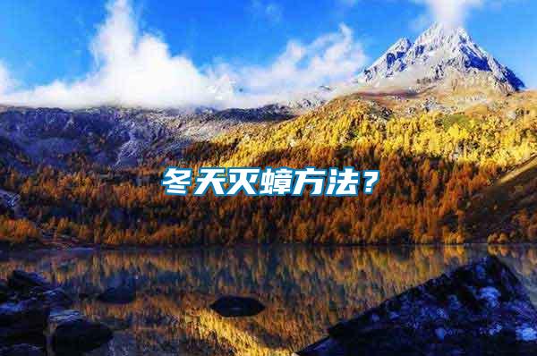 冬天滅蟑方法？
