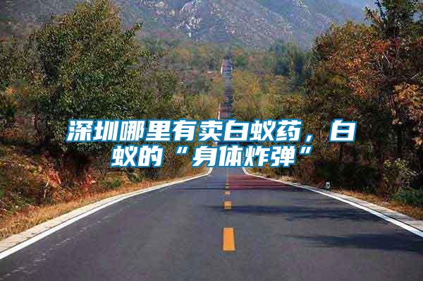 深圳哪里有賣白蟻藥，白蟻的“身體炸彈”