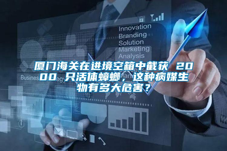 廈門海關在進境空箱中截獲 2000 只活體蟑螂，這種病媒生物有多大危害？