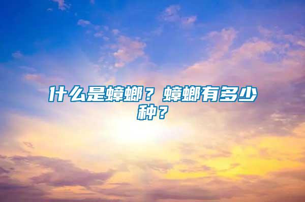 什么是蟑螂？蟑螂有多少種？