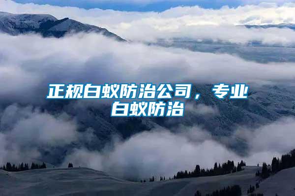 正規(guī)白蟻防治公司，專業(yè)白蟻防治