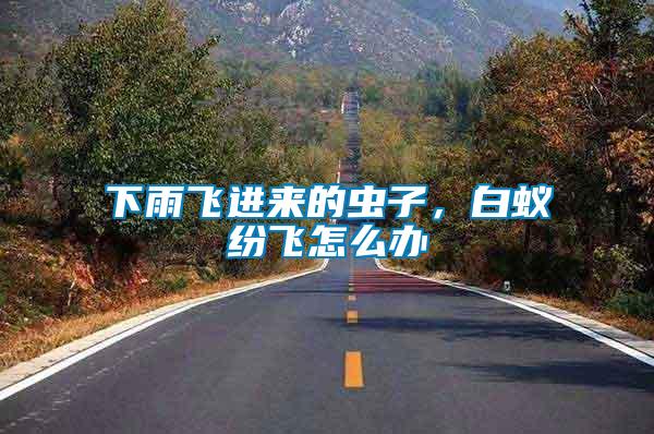 下雨飛進(jìn)來(lái)的蟲(chóng)子，白蟻紛飛怎么辦