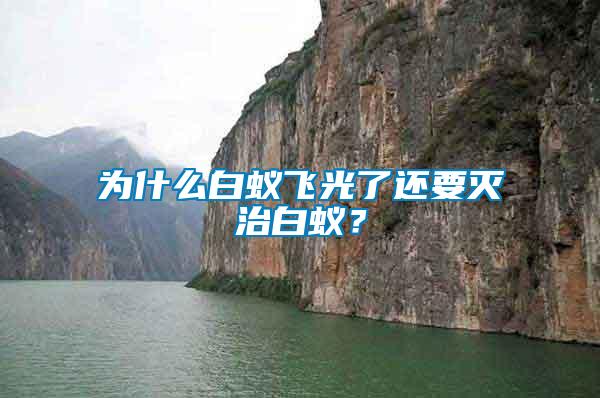 為什么白蟻飛光了還要滅治白蟻？