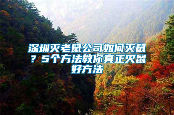 深圳滅老鼠公司如何滅鼠？5個(gè)方法教你真正滅鼠好方法