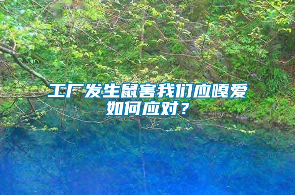 工廠發(fā)生鼠害我們應(yīng)嘎愛如何應(yīng)對(duì)？