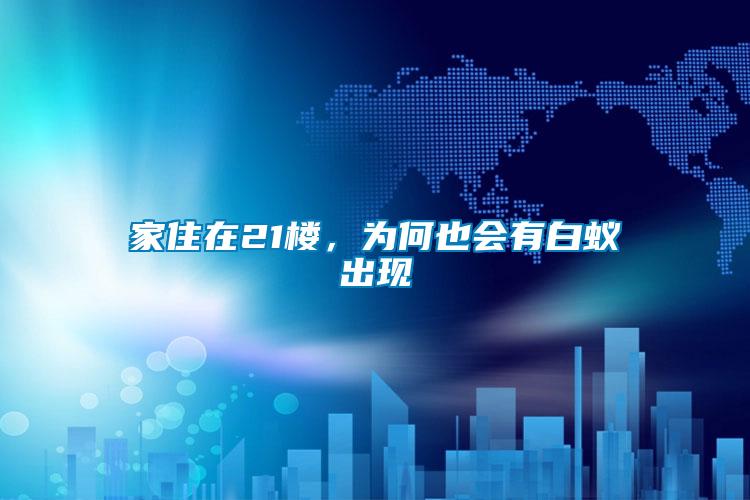 家住在21樓，為何也會有白蟻出現(xiàn)