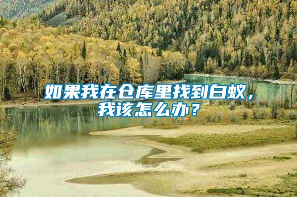 如果我在倉庫里找到白蟻，我該怎么辦？