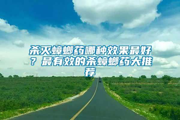 殺滅蟑螂藥哪種效果最好？最有效的殺蟑螂藥大推薦