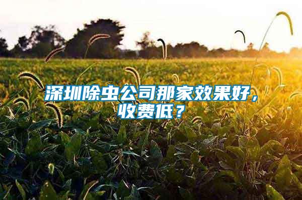 深圳除蟲公司那家效果好，收費(fèi)低？