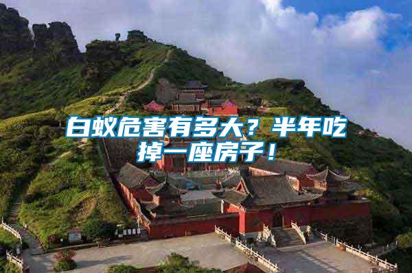 白蟻危害有多大？半年吃掉一座房子！