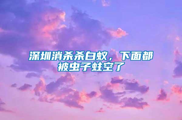 深圳消殺殺白蟻，下面都被蟲子蛀空了