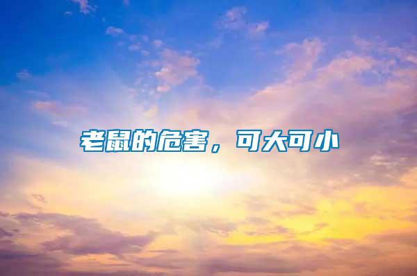老鼠的危害，可大可小