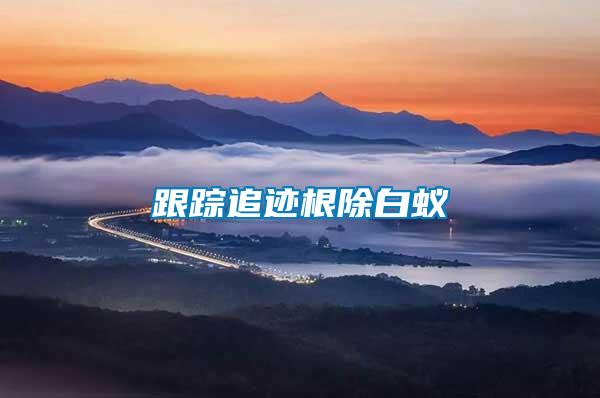 跟蹤追跡根除白蟻