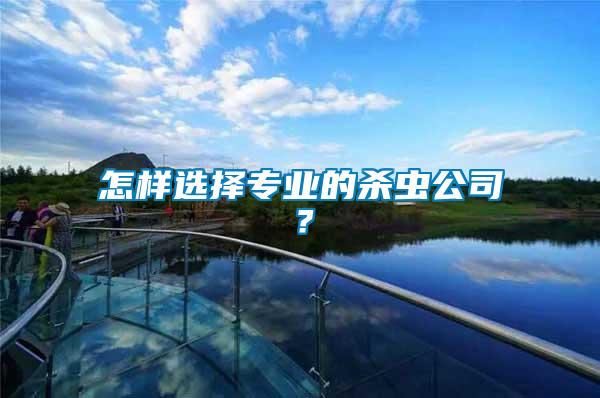 怎樣選擇專業(yè)的殺蟲公司？