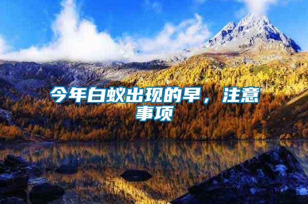 今年白蟻出現(xiàn)的早，注意事項(xiàng)