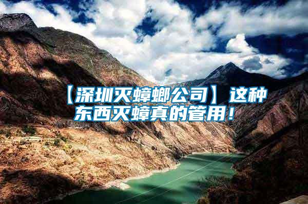 【深圳滅蟑螂公司】這種東西滅蟑真的管用！