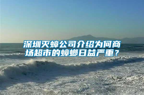 深圳滅蟑公司介紹為何商場(chǎng)超市的蟑螂日益嚴(yán)重？