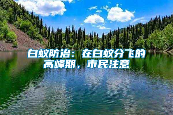 白蟻防治：在白蟻分飛的高峰期，市民注意